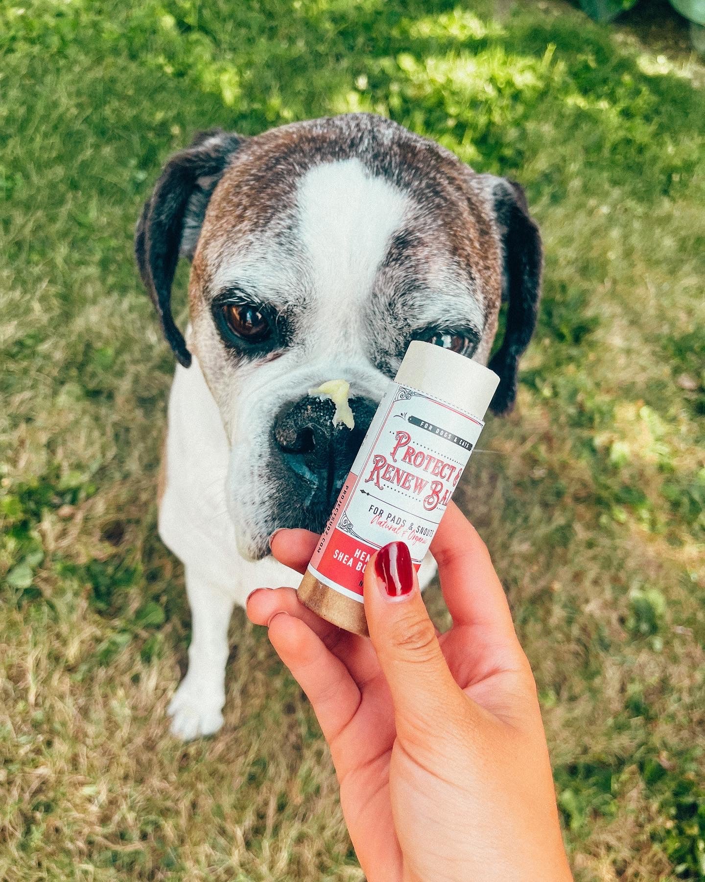 Ear and Skin Care – Project Sudz