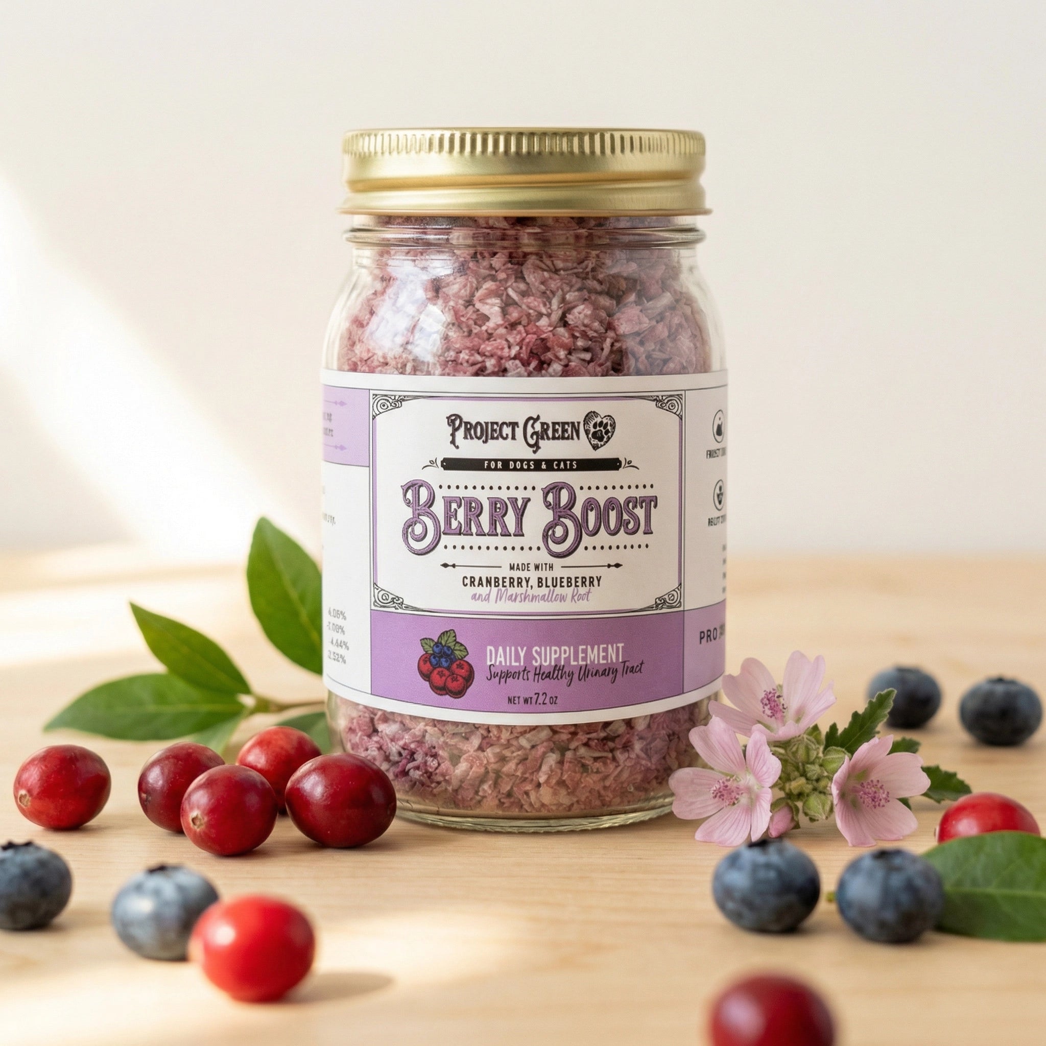 Berry Boost – Project Sudz