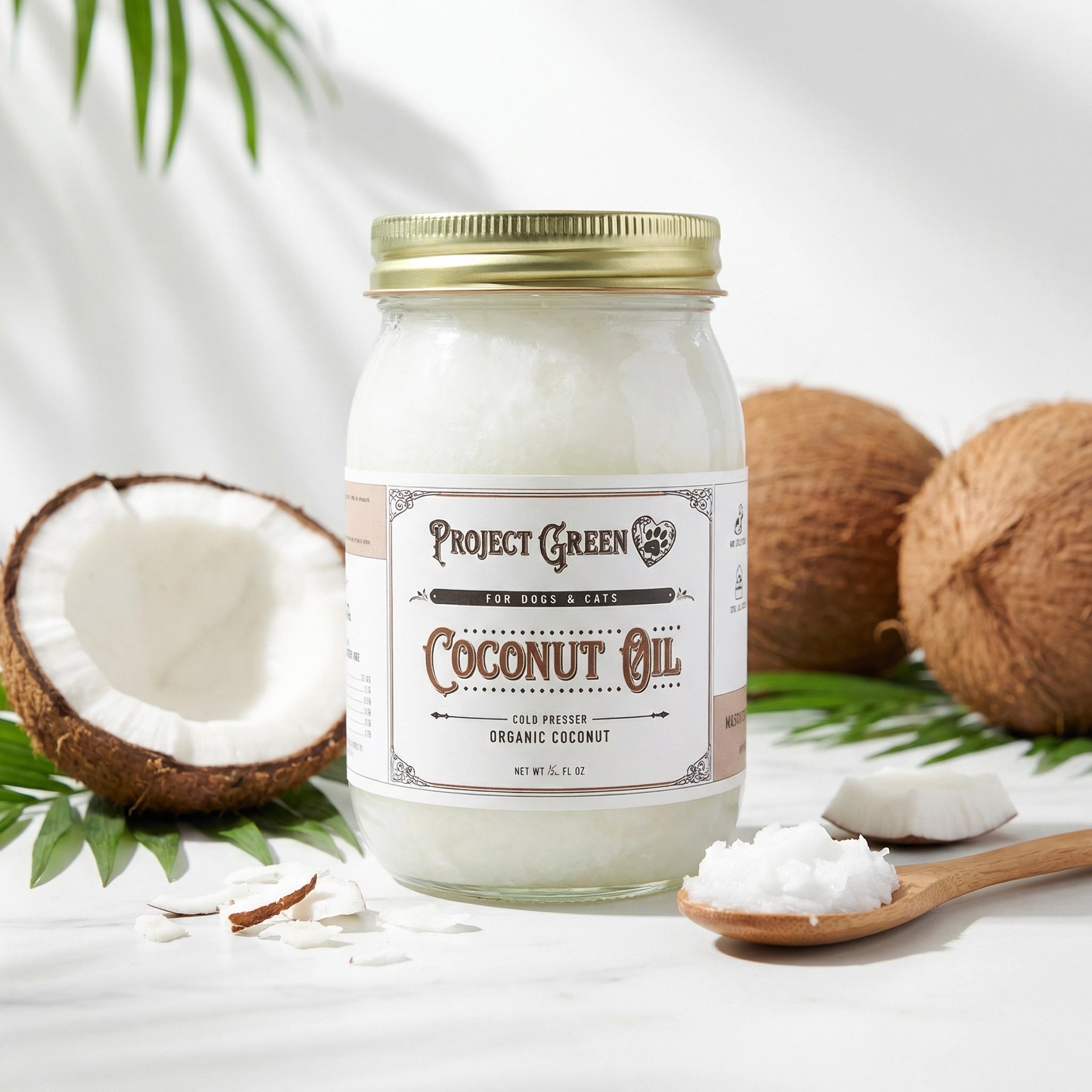 Coconut Oil – Project Sudz