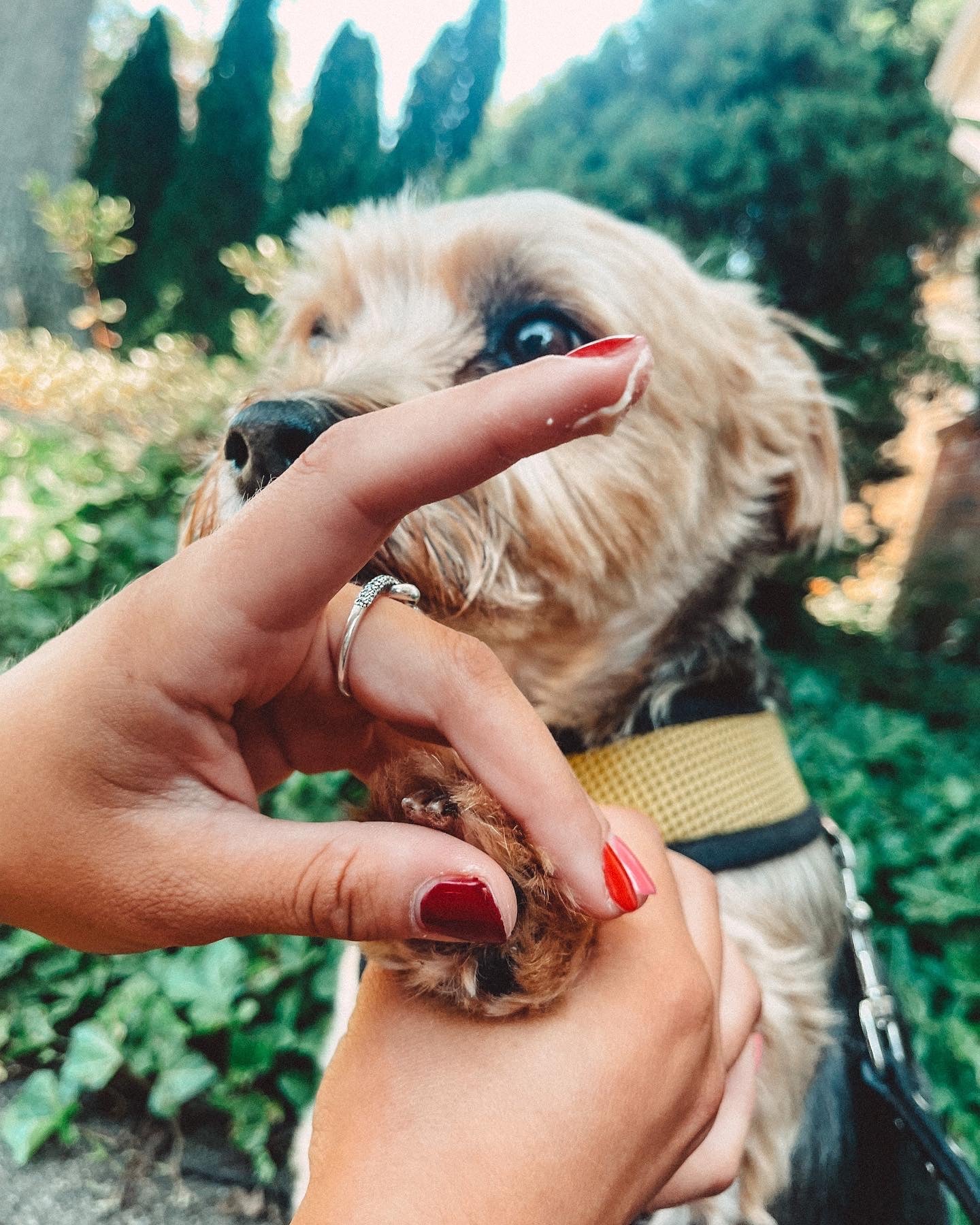 Protect & Renew Balm