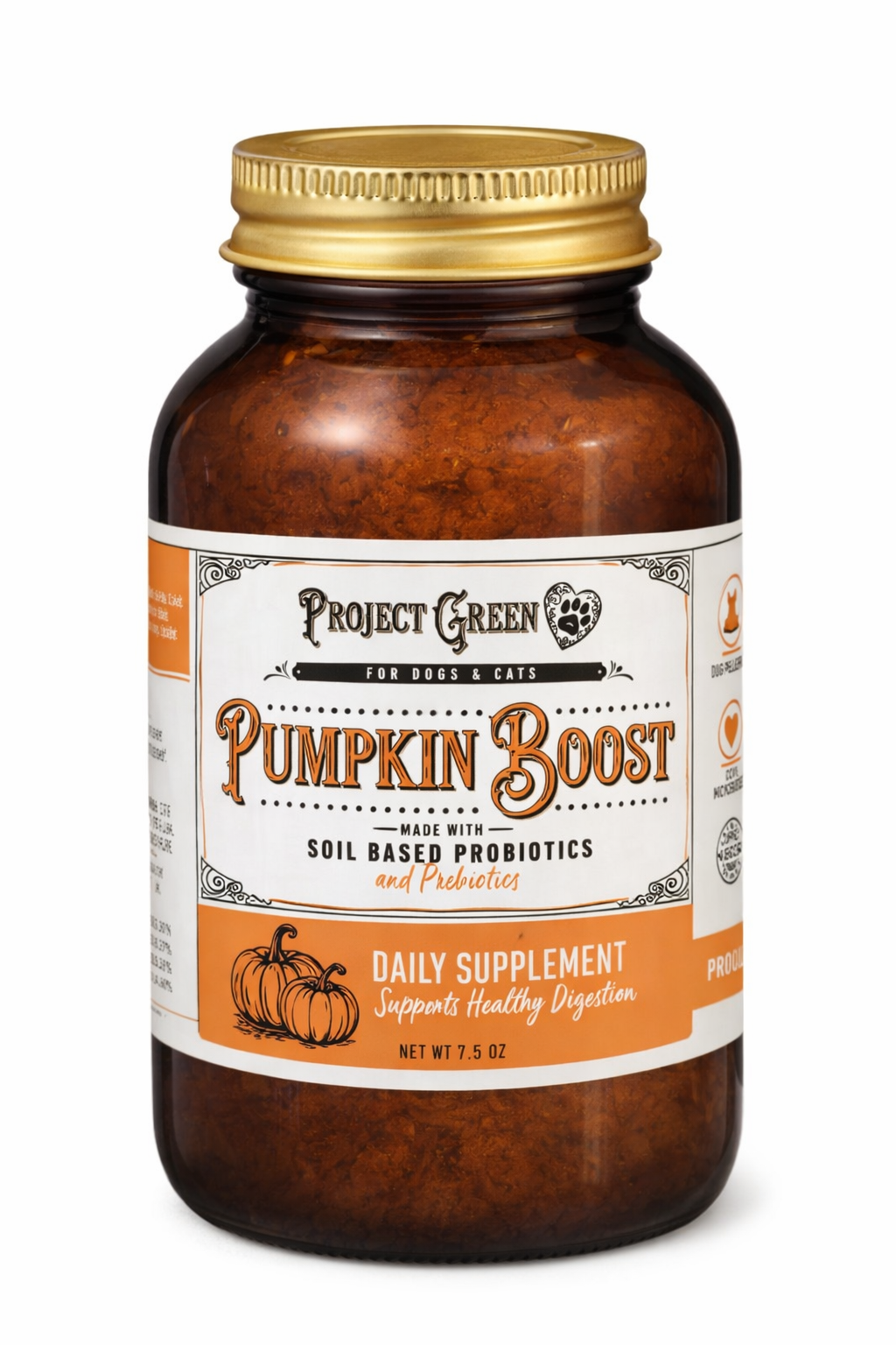 Pumpkin Boost – Project Sudz
