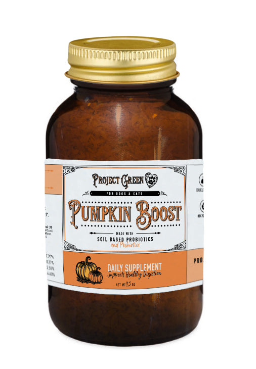 Pumpkin Boost – Project Sudz