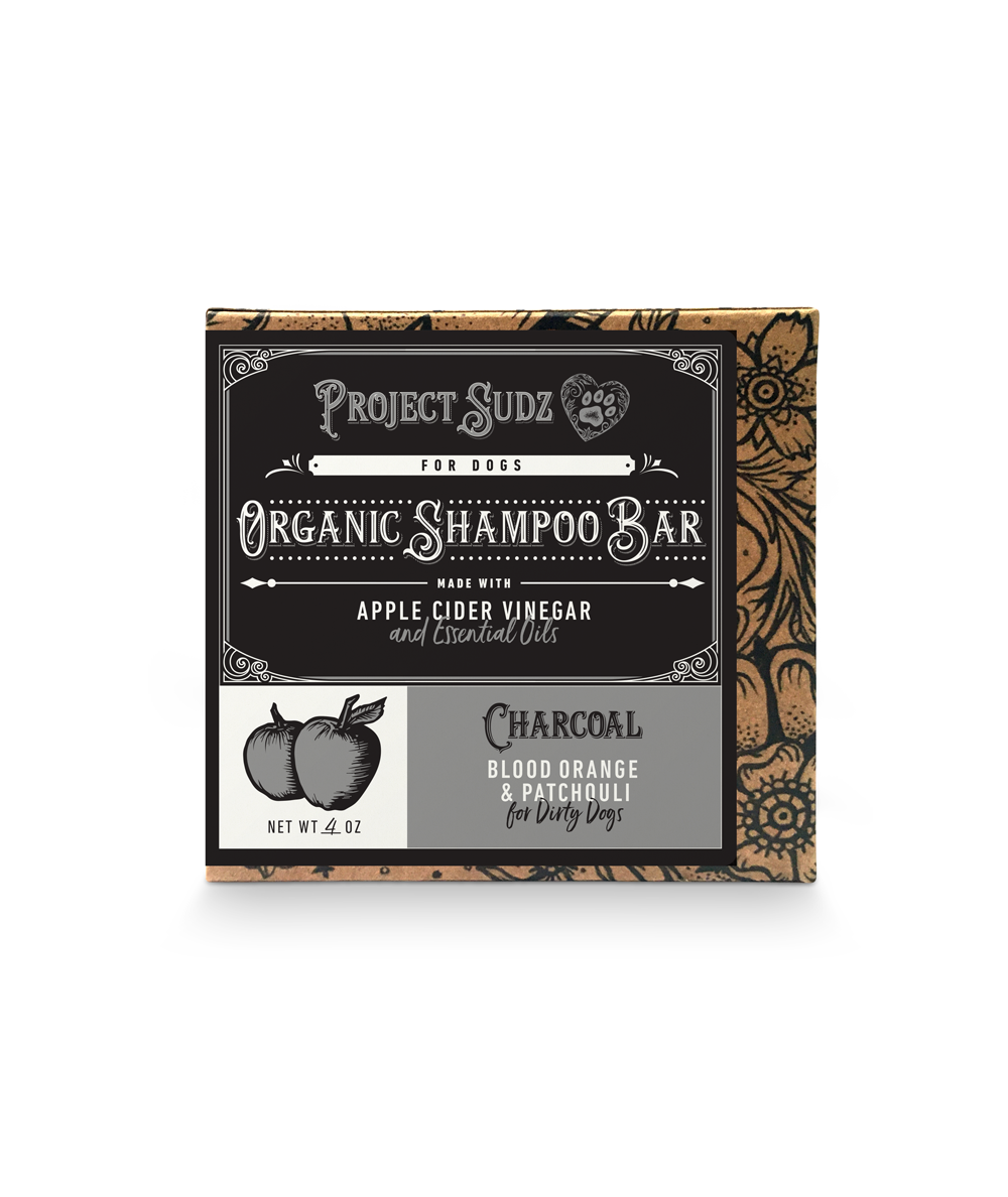 Charcoal Shampoo Bar 4 oz – Project Sudz
